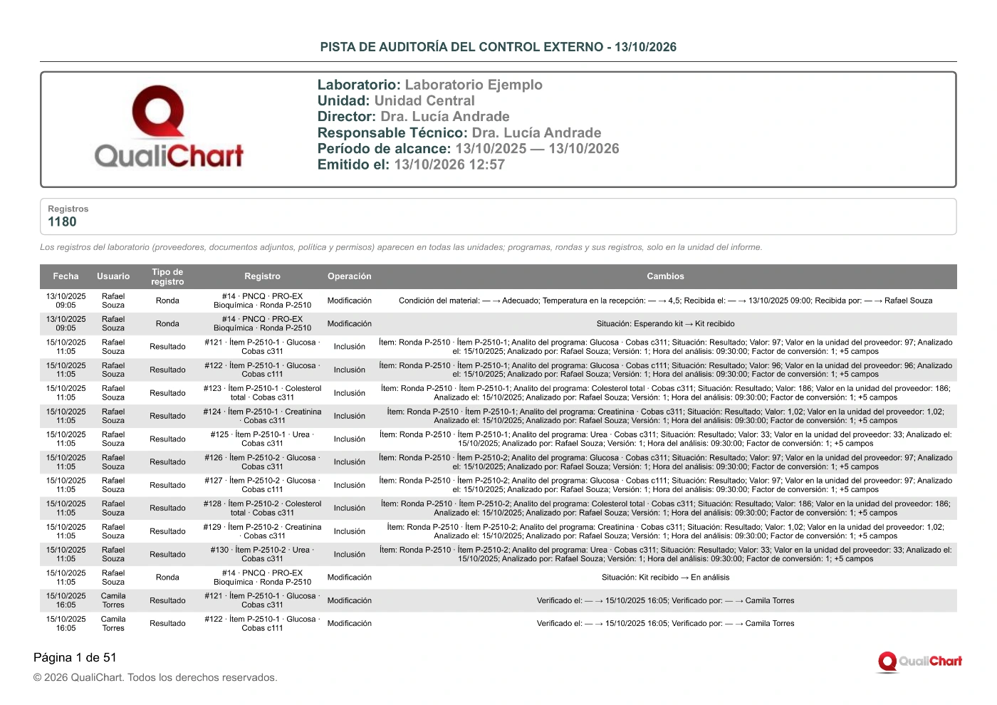 Primera página del registro de auditoría del control externo con datos de demostración